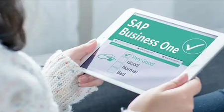 SAP B1 內(nèi)部錯(cuò)誤，錯(cuò)誤代碼對(duì)應(yīng)的原因說(shuō)明
